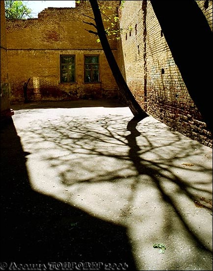 tg_DC_019.jpg