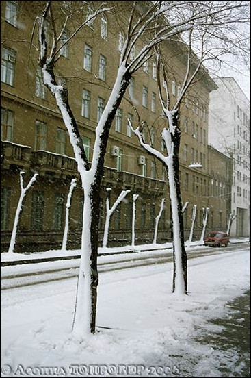tg_DC_020.jpg