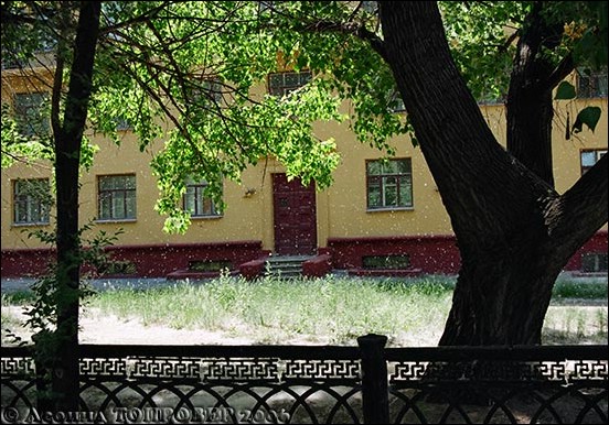 tg_DC_027.jpg