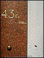 tg_DC_009.jpg