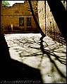 tg_DC_019.jpg