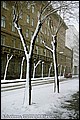tg_DC_020.jpg