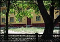tg_DC_027.jpg