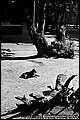 tg_DC_044.jpg