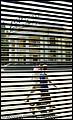tg_DC_045.jpg