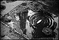tg_DC_048.jpg