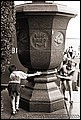 tg_DC_049.jpg